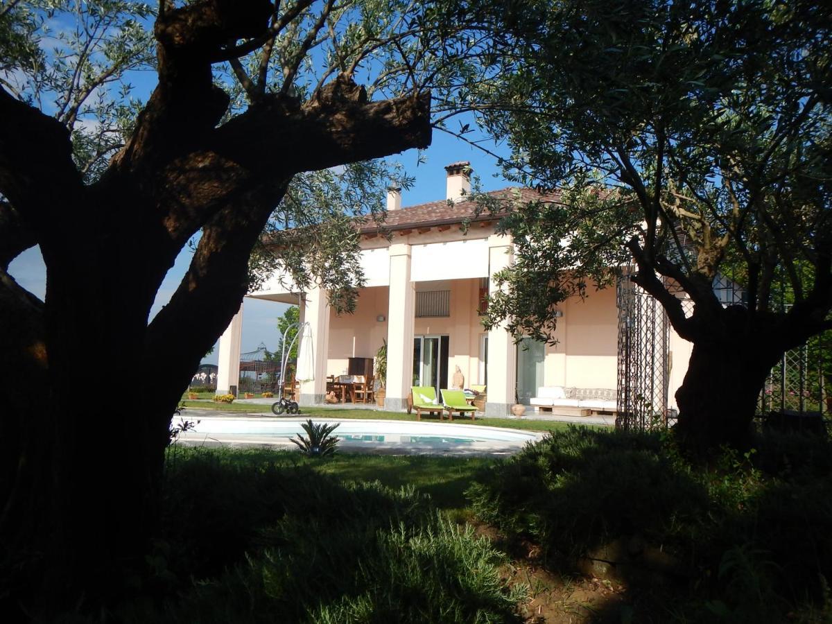 B&B Red Wine Country House Castel San Pietro Terme Kültér fotó
